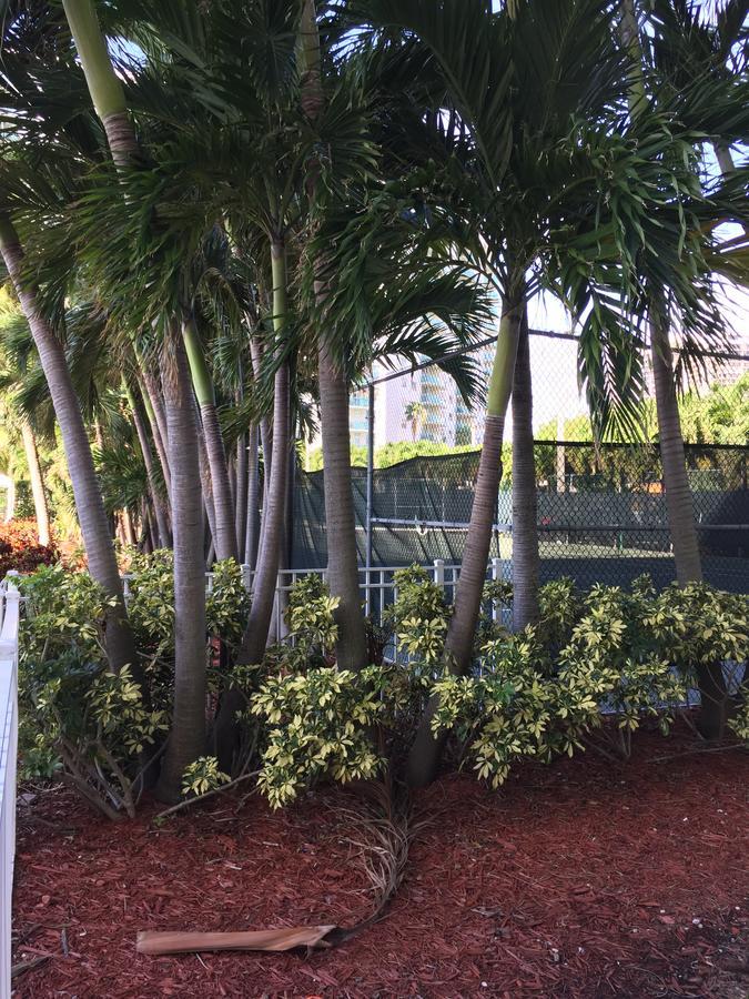 Ocean Reserve Str-01045 Miami Beach Exterior foto